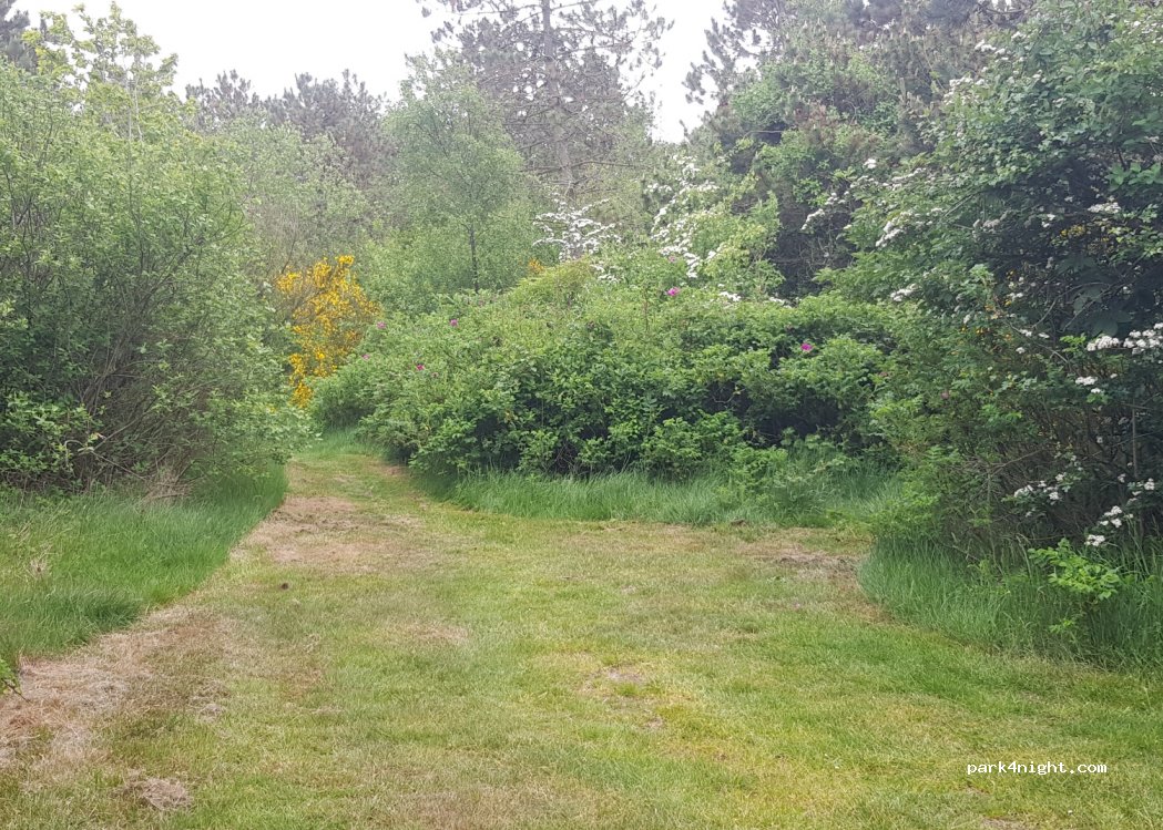 (7673) Harboøre - 3 Stausholmvej — foto