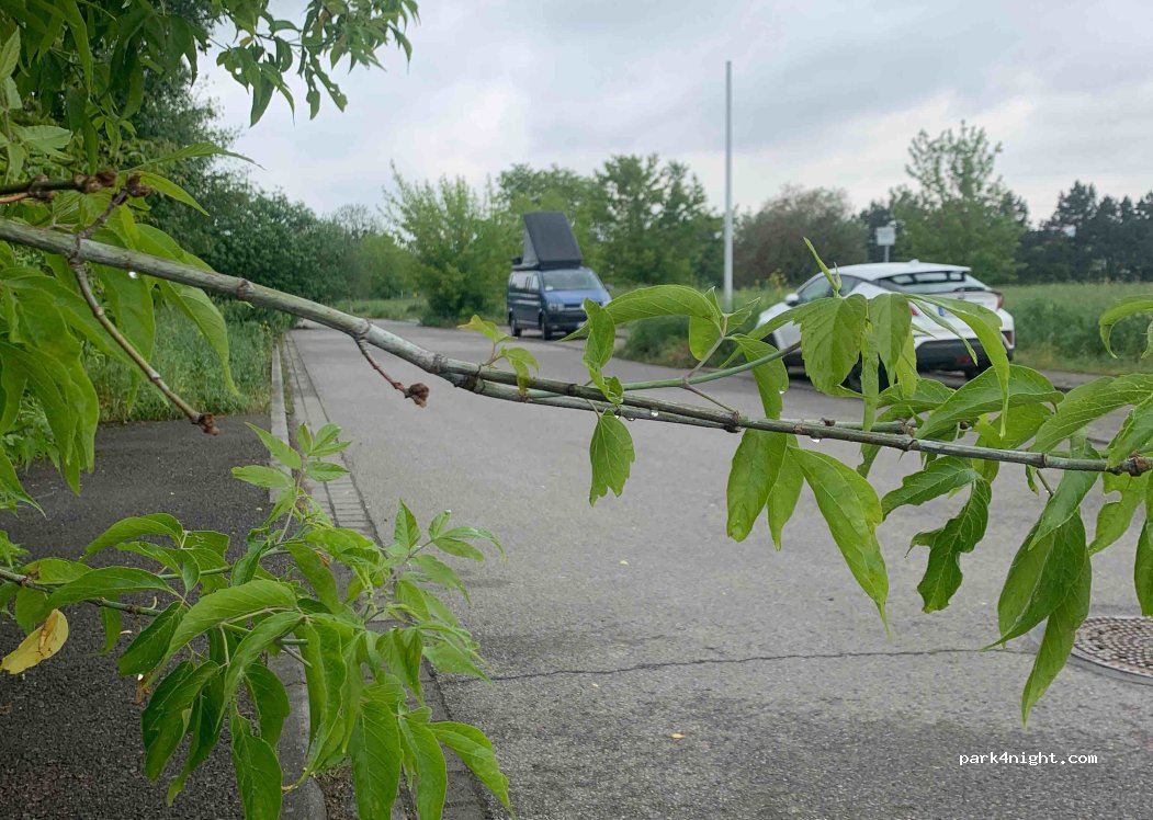 (01279) Dresden - 96E Leubener Straße — foto 3