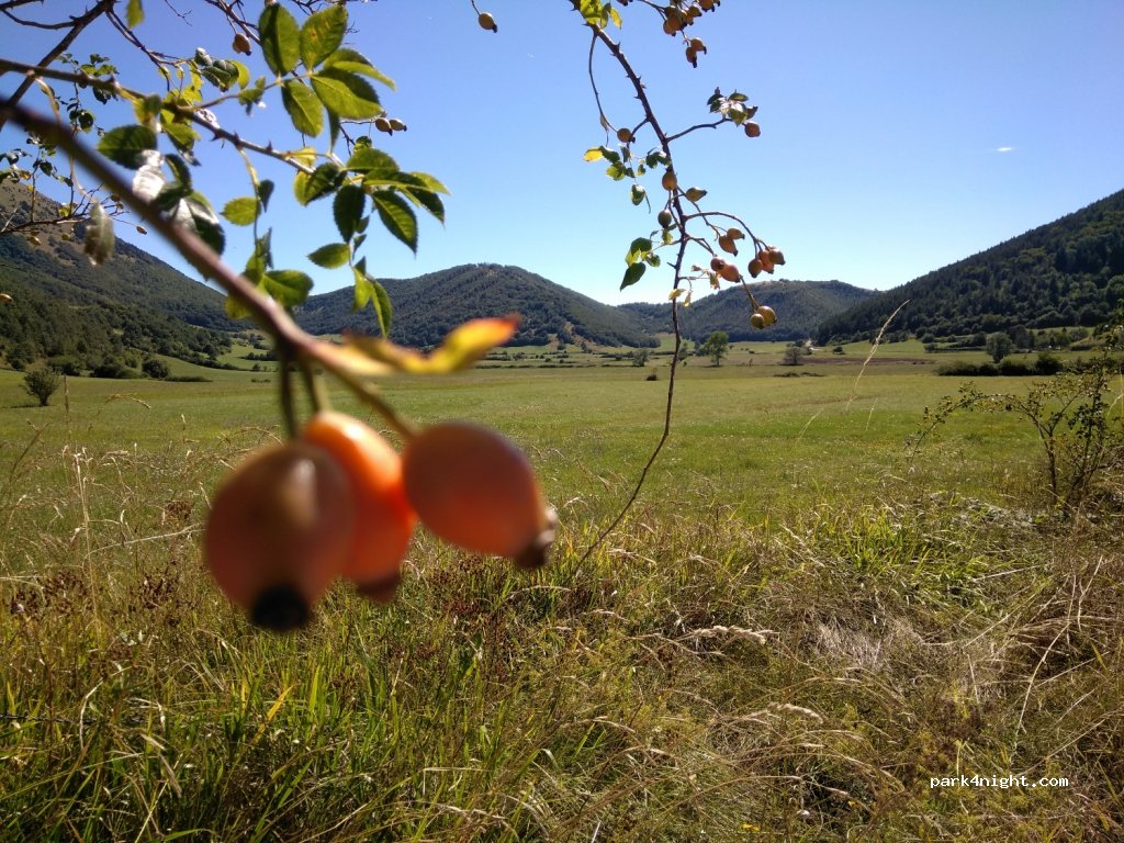 (62025) Sefro - Strada Provinciale 79 — foto