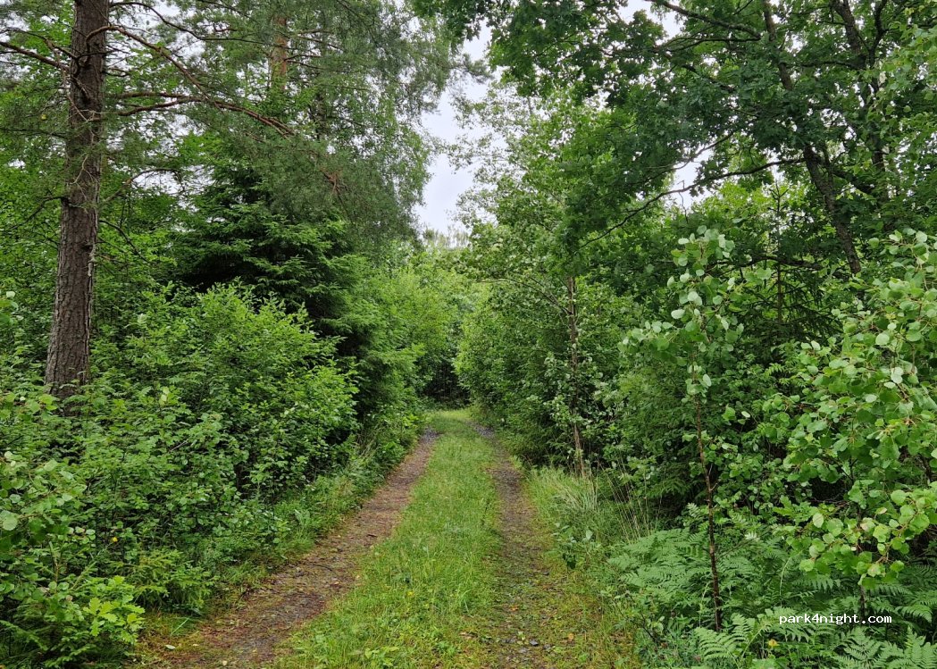 (691 94) Karlskoga - Unnamed Road — foto 4