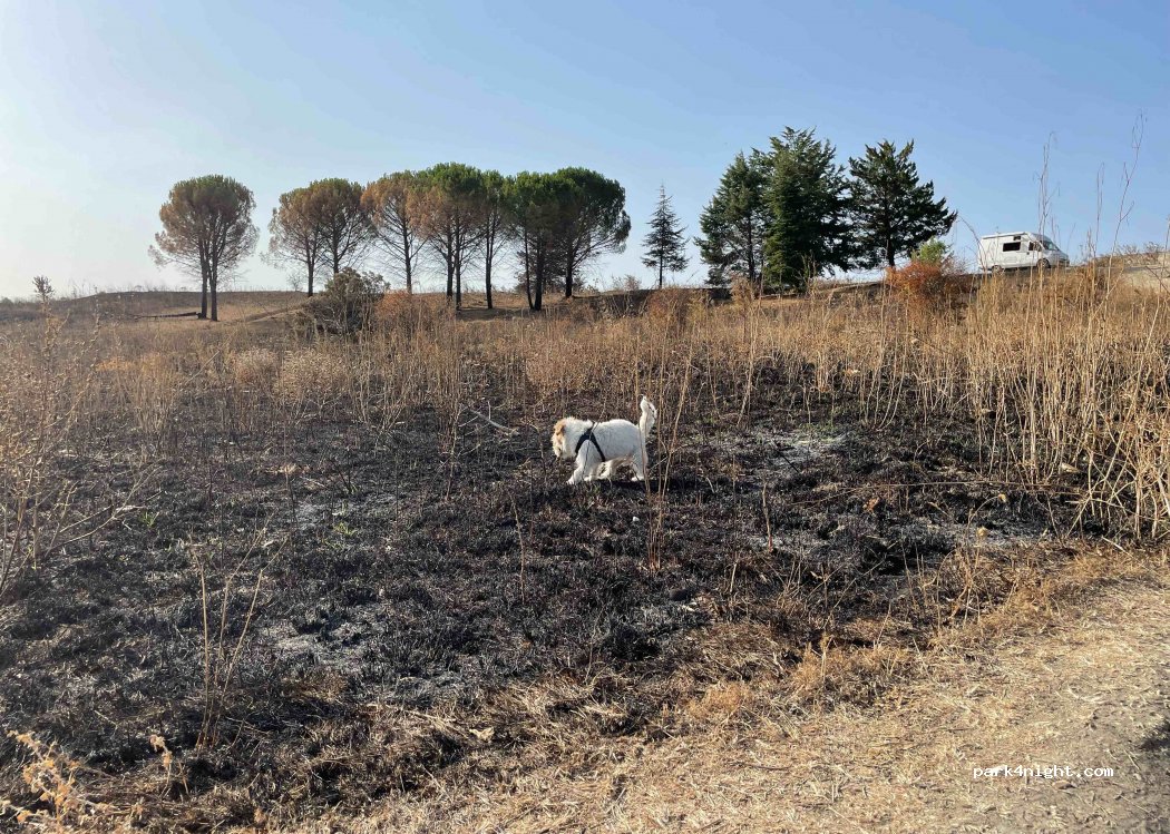 (85013) Genzano di Lucania - Strada Provinciale Marascione - Lamacolma — foto 4