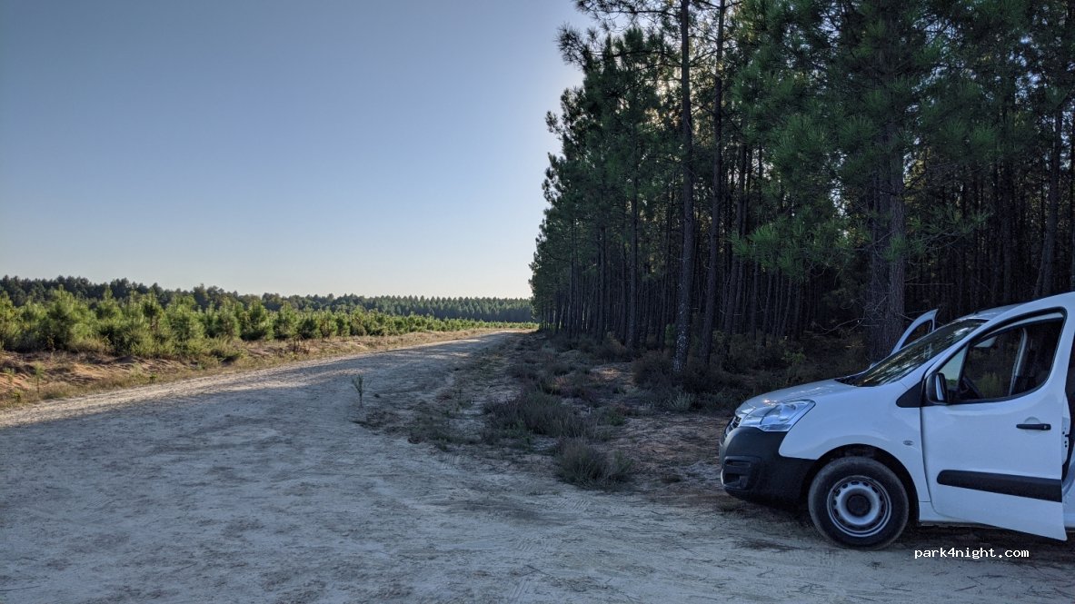 (33830) Belin-Béliet - Unnamed Road — foto