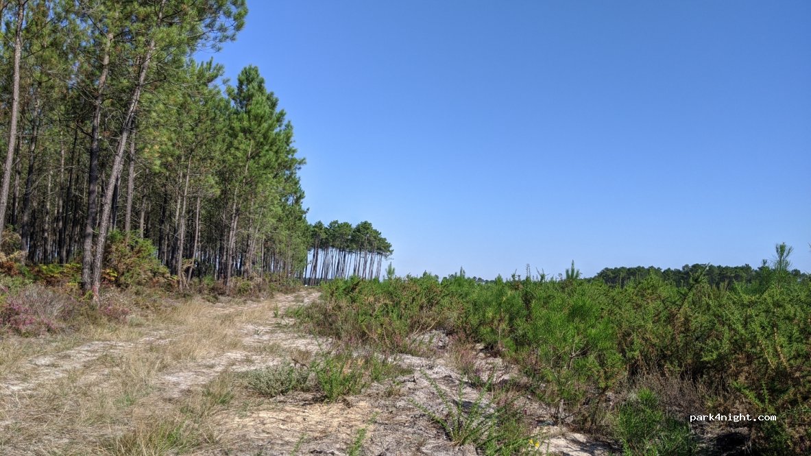 (33830) Belin-Béliet - Unnamed Road — foto 2