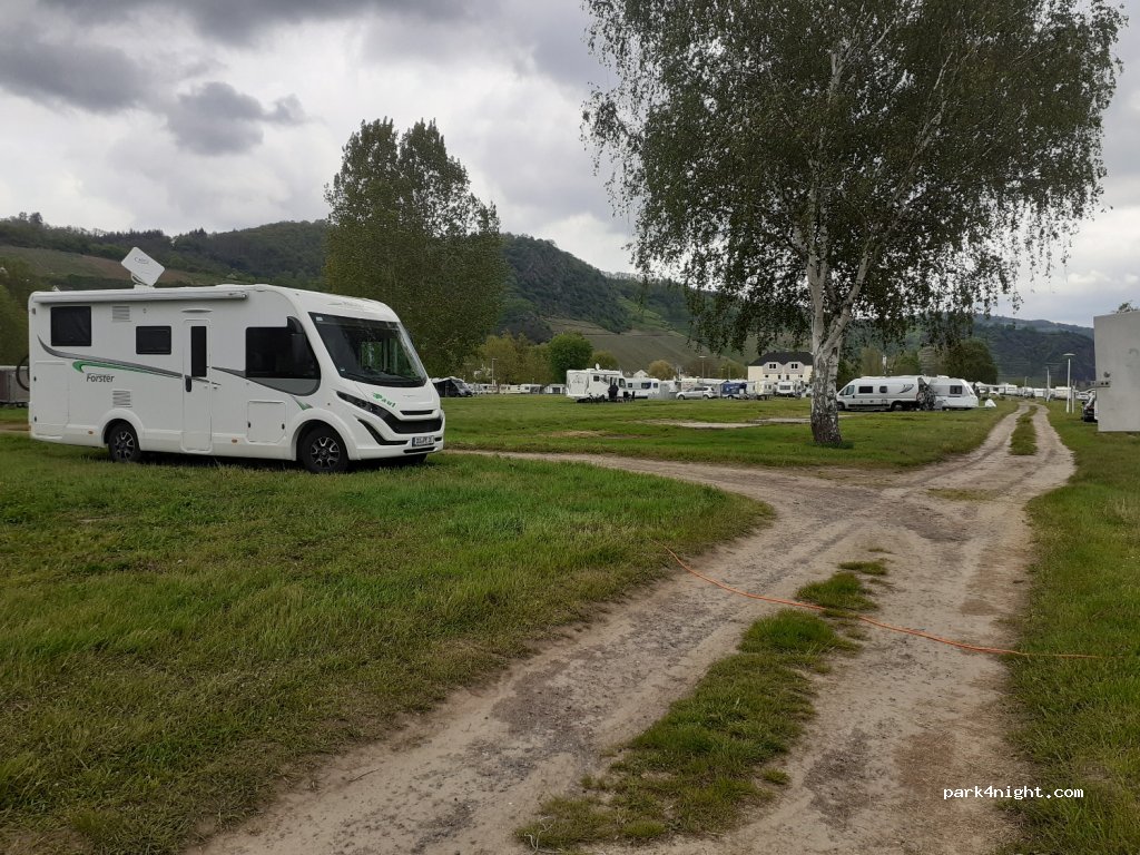 Campinginsel Sonnenwerth — foto