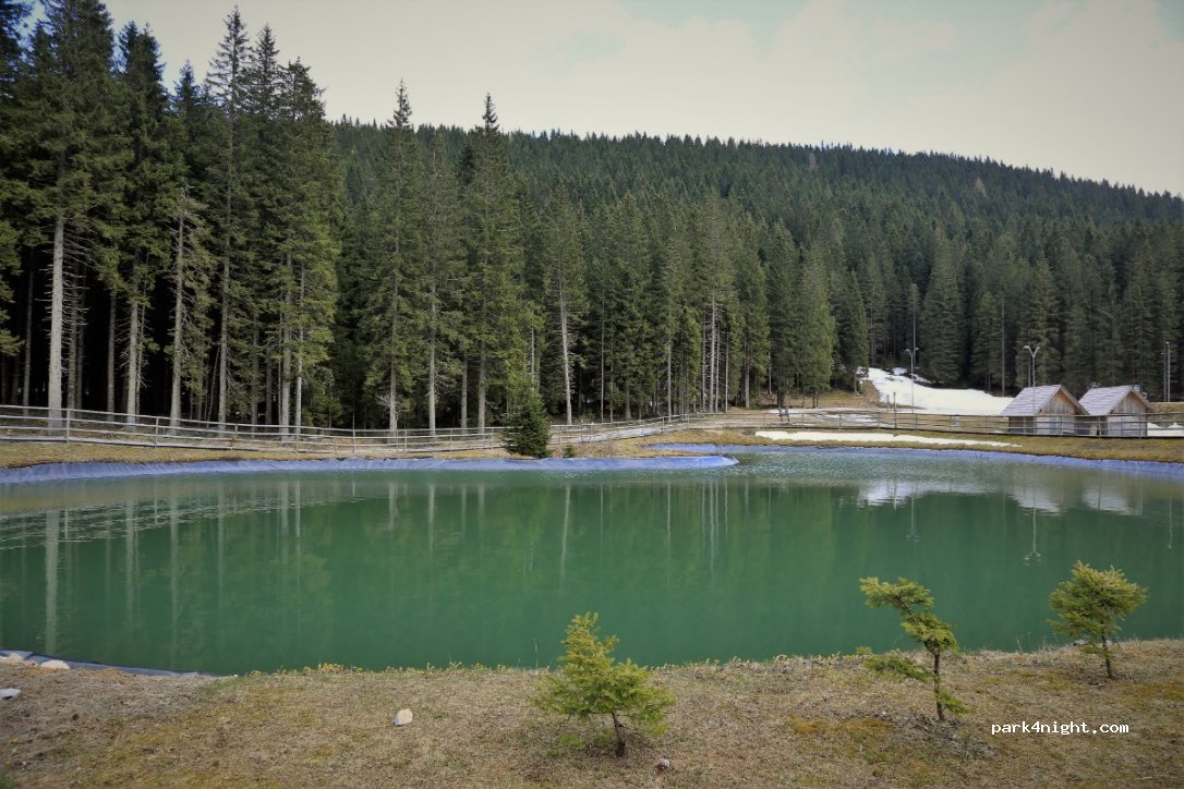 (4267) Srednja Vas v Bohinju - 165 Srednja vas v Bohinju — foto 3