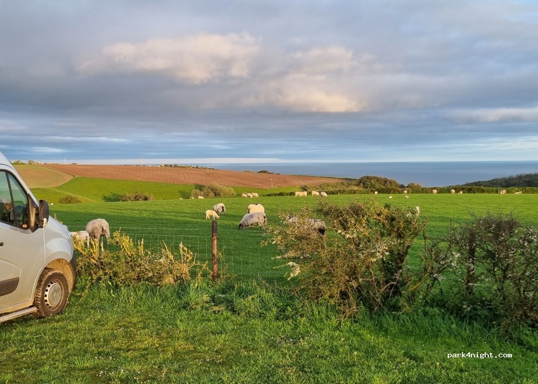 Great Kellow Farm — foto 4