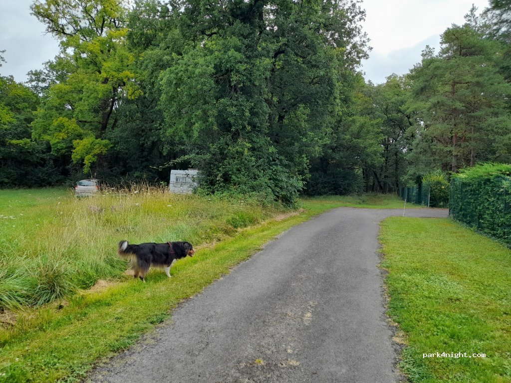 (86260) Saint-Pierre-de-Maillé - 10 La Guignotrie — foto 3