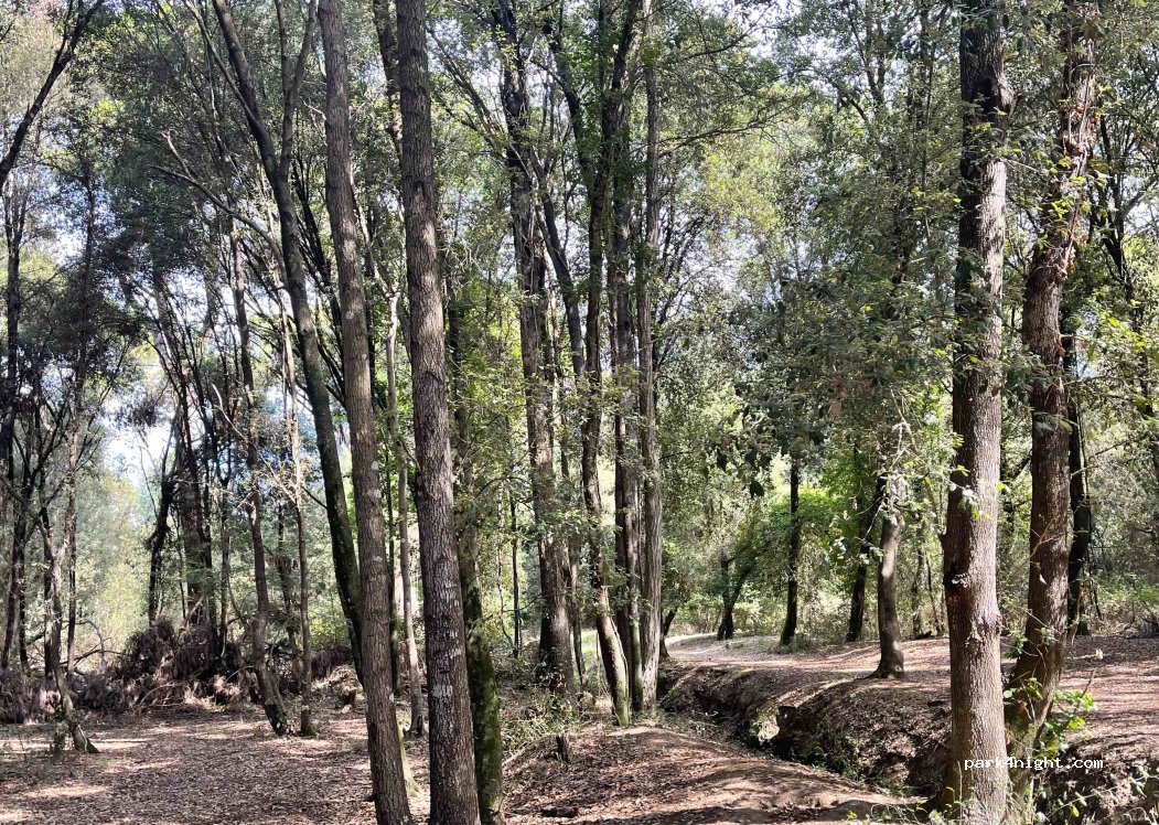 Camping Burlamacco — foto 4