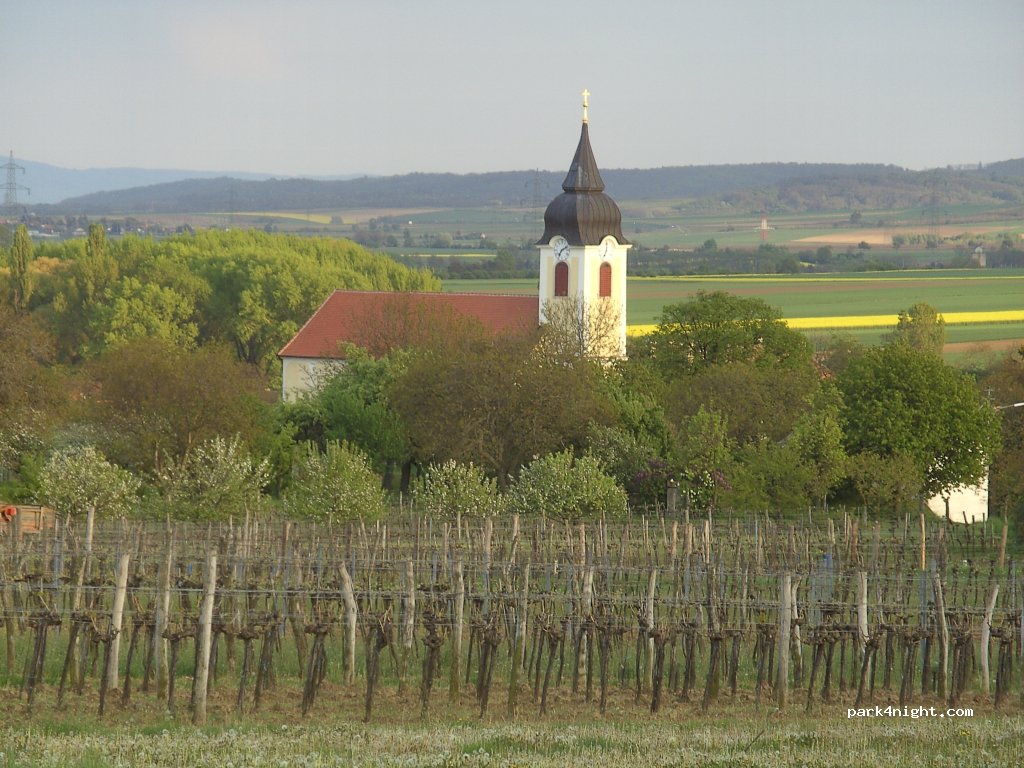 Winzerhof Hofstötter — foto 2