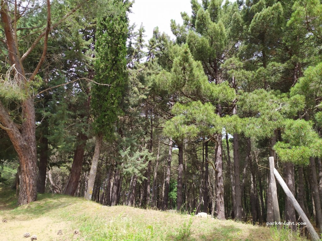 (98070) Castell'Umberto - Unnamed Road — foto 4