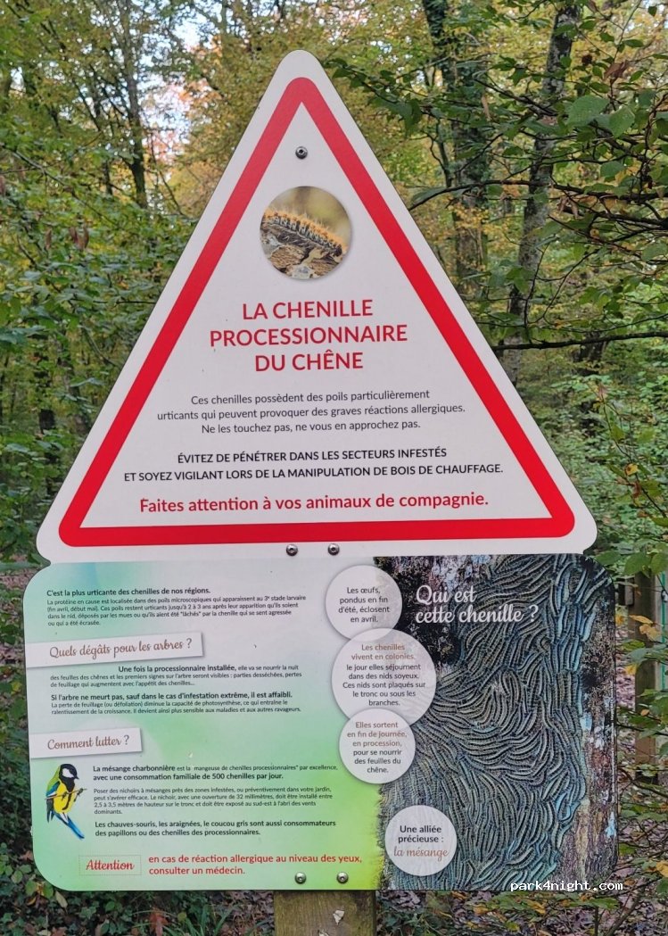 (01960) Péronnas - Route Forestière de Lalleyriat — foto 3