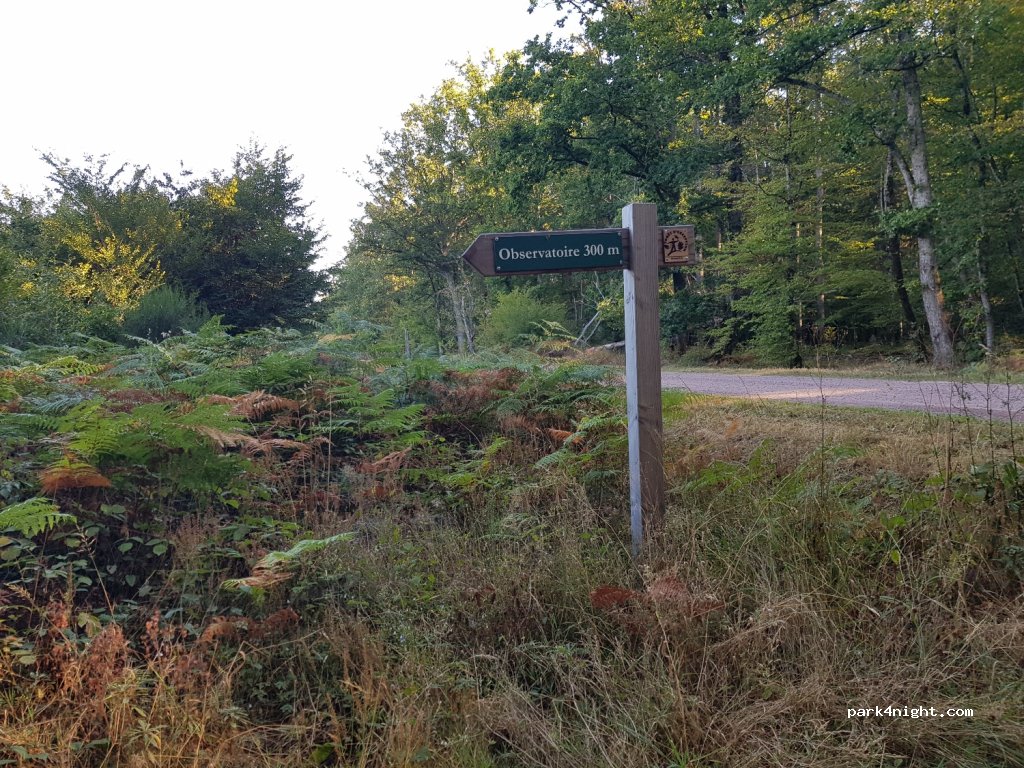 (03360) Meaulne-Vitray - Route Forestière de la Bouteille — foto 2