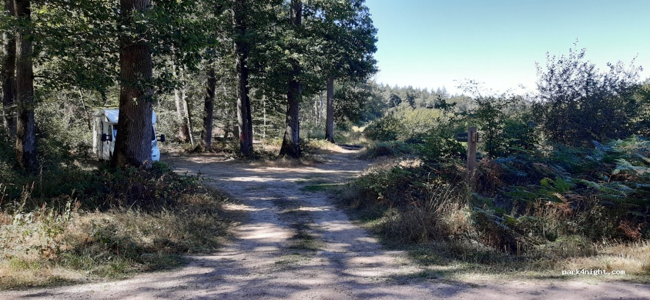 (03360) Meaulne-Vitray - Route Forestière de la Bouteille — foto 3