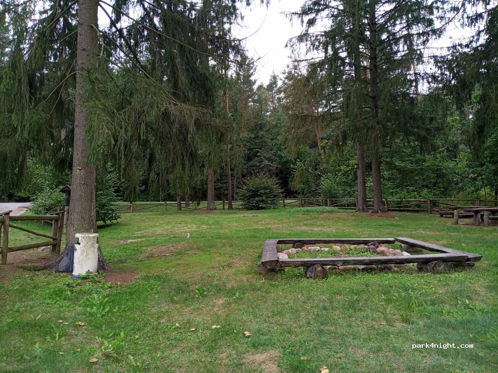 (18-210) Wyliny-Ruś - Droga Krajowa 66 — foto