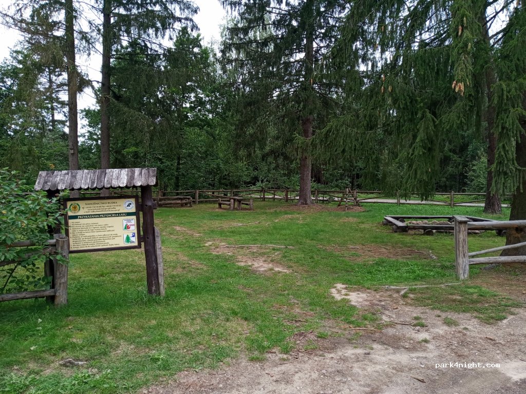 (18-210) Wyliny-Ruś - Droga Krajowa 66 — foto 2