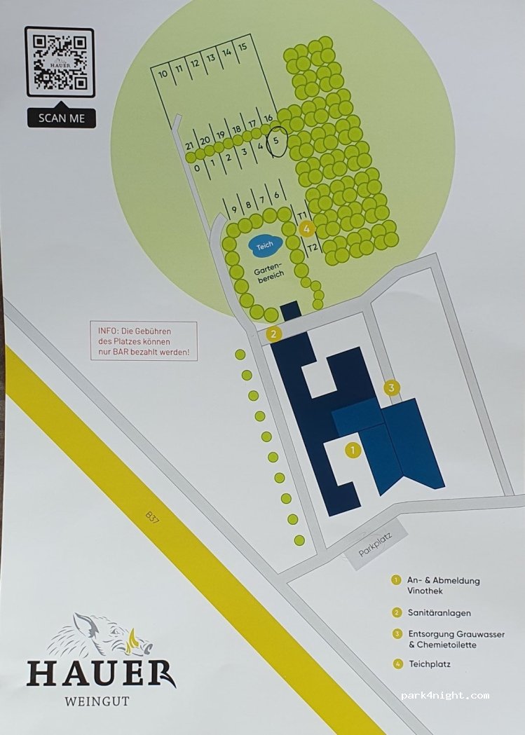 Weingut Hauer & Hauer's Gutsausschank — foto 2