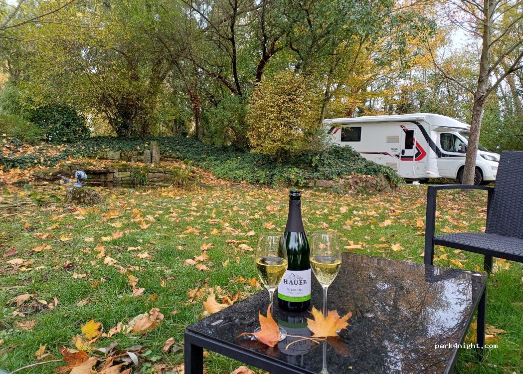 Weingut Hauer & Hauer's Gutsausschank — foto 5