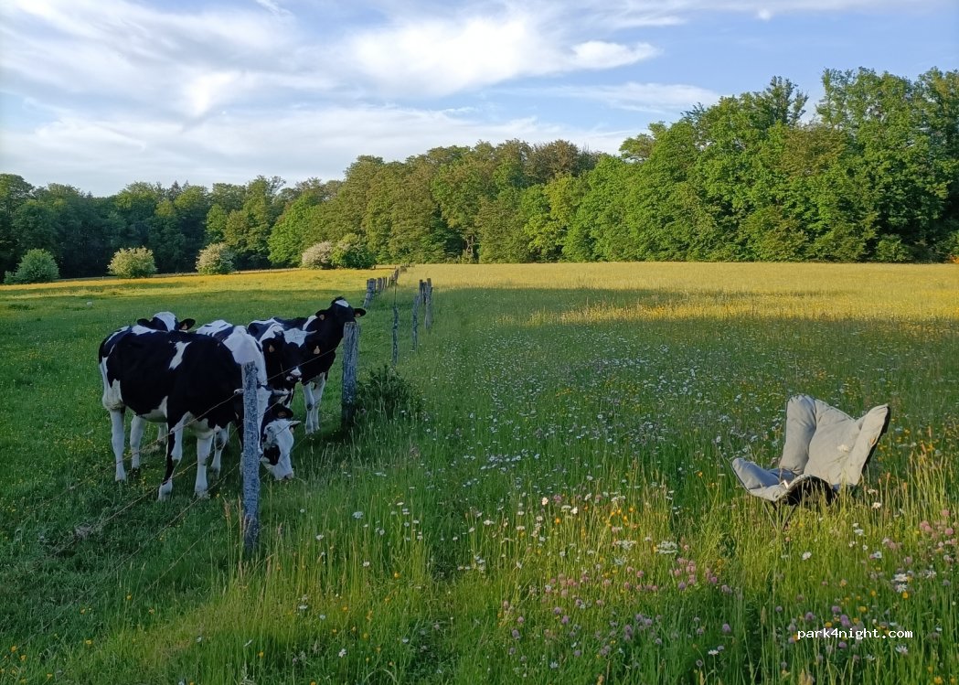 (88240) Grandrupt-de-Bains - Route du Hatrey — foto 4