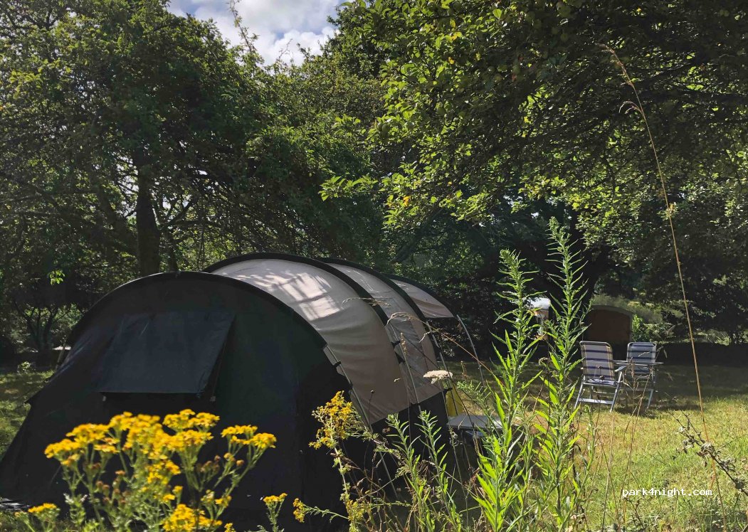 Camping Happiness Side Pre — foto