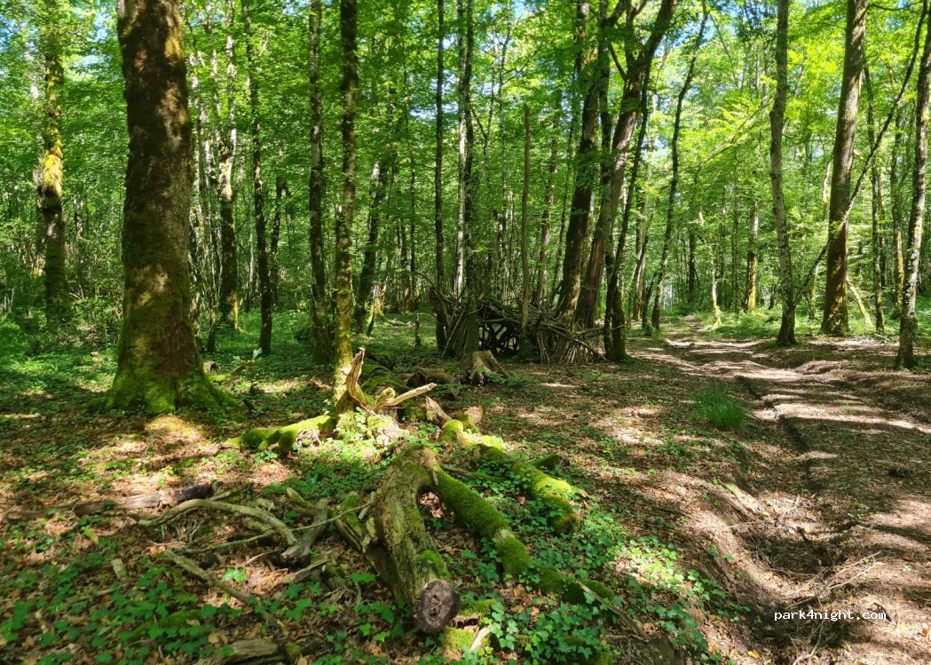 (39270) Sarrogna - Unnamed Road — foto 3