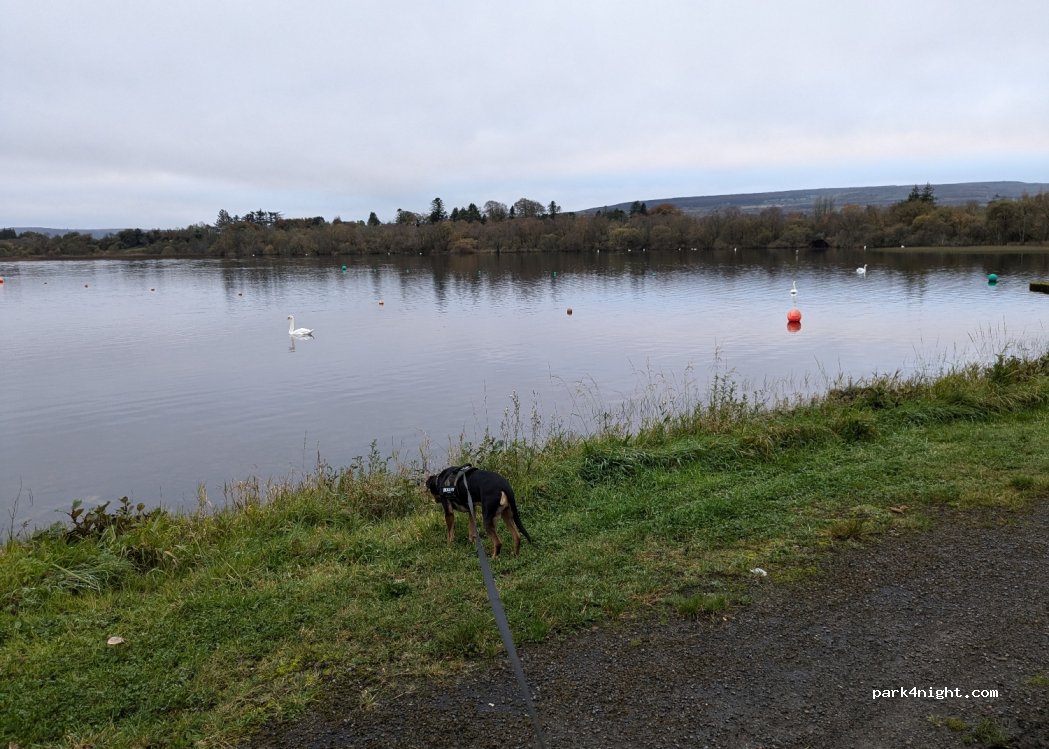 Lough Arrow Touring Park — foto 5