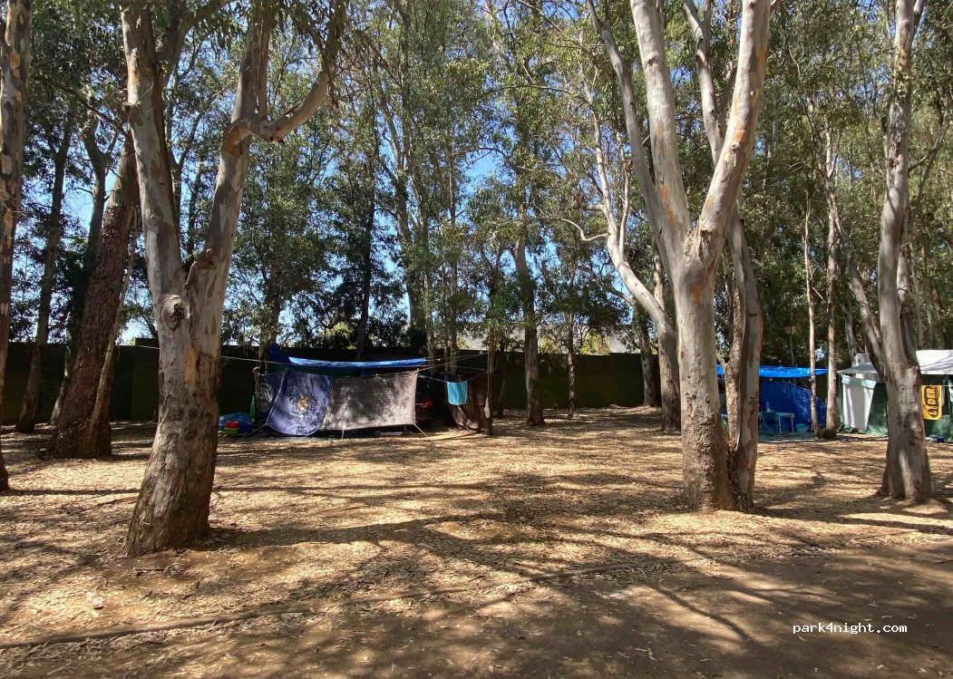 Camping Eucalyptus — foto 4