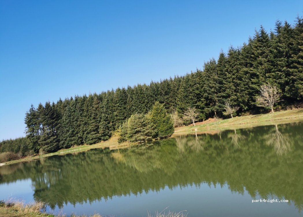 (42114) Saint-Cyr-de-Valorges - Les Voisinees — foto 3