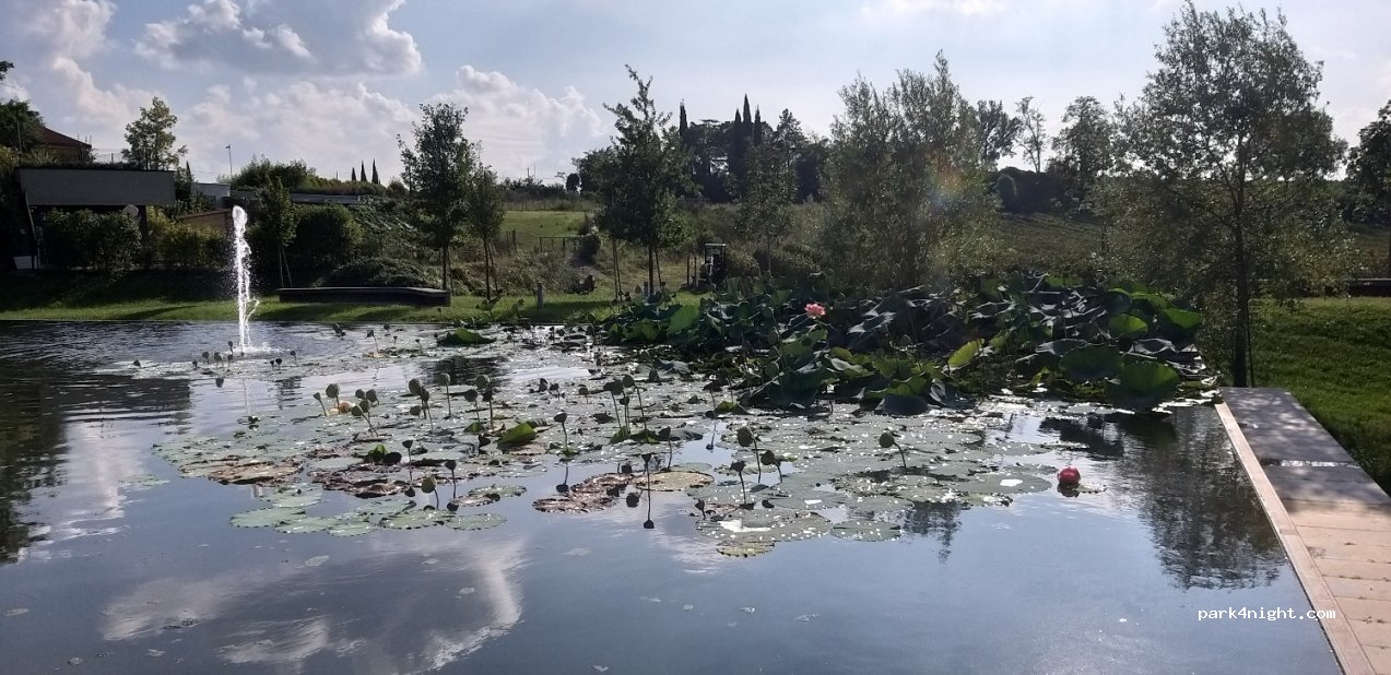 (37019) Peschiera del Garda - Via Bertoletta — foto