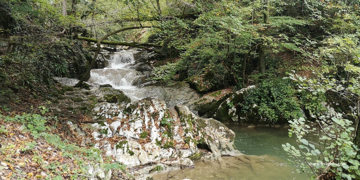 (8220)  - 1 Grič pri Klevevžu — foto 2