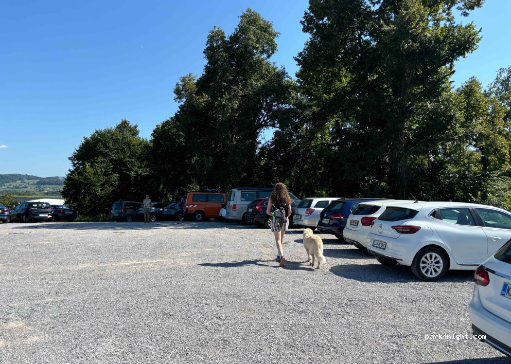 (8220)  - 1 Grič pri Klevevžu — foto 4