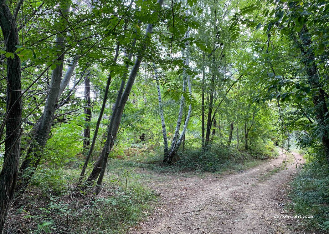(54026) Mulazzo - Unnamed Road — foto