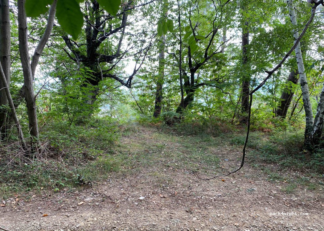 (54026) Mulazzo - Unnamed Road — foto 2
