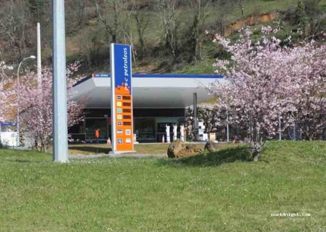(33550) Cangas de Onís - Cangas Onís-Panes — foto
