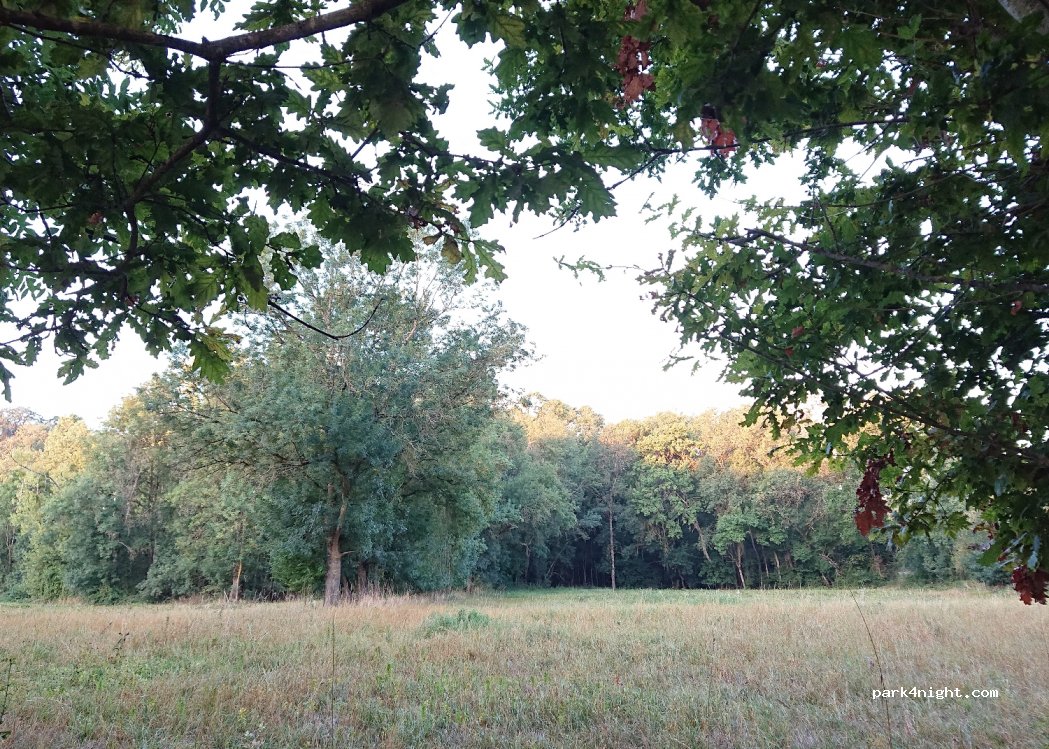 (37500) Couziers - 31 D751 — foto 3