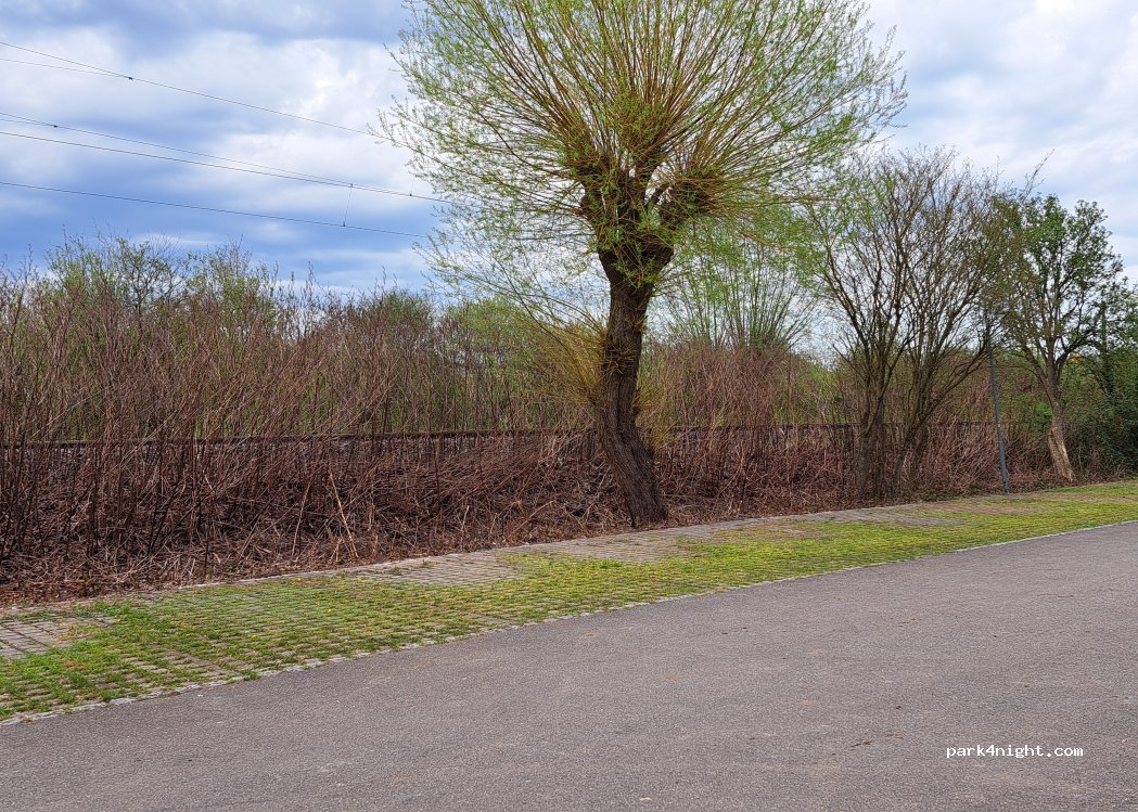 Parkplatz Campingplatz Ost — foto 5