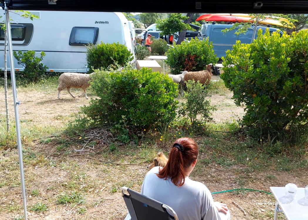Camping à la Ferme U Paradisu — foto 4