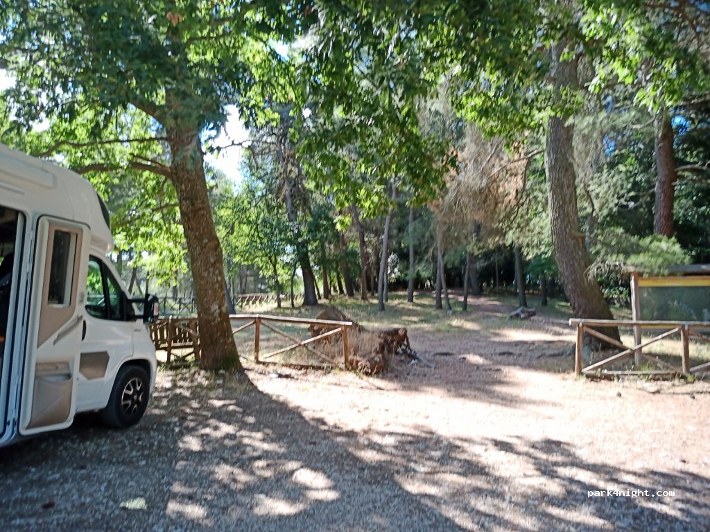(71018) Vico del Gargano - Strada Provinciale 528 — foto 3