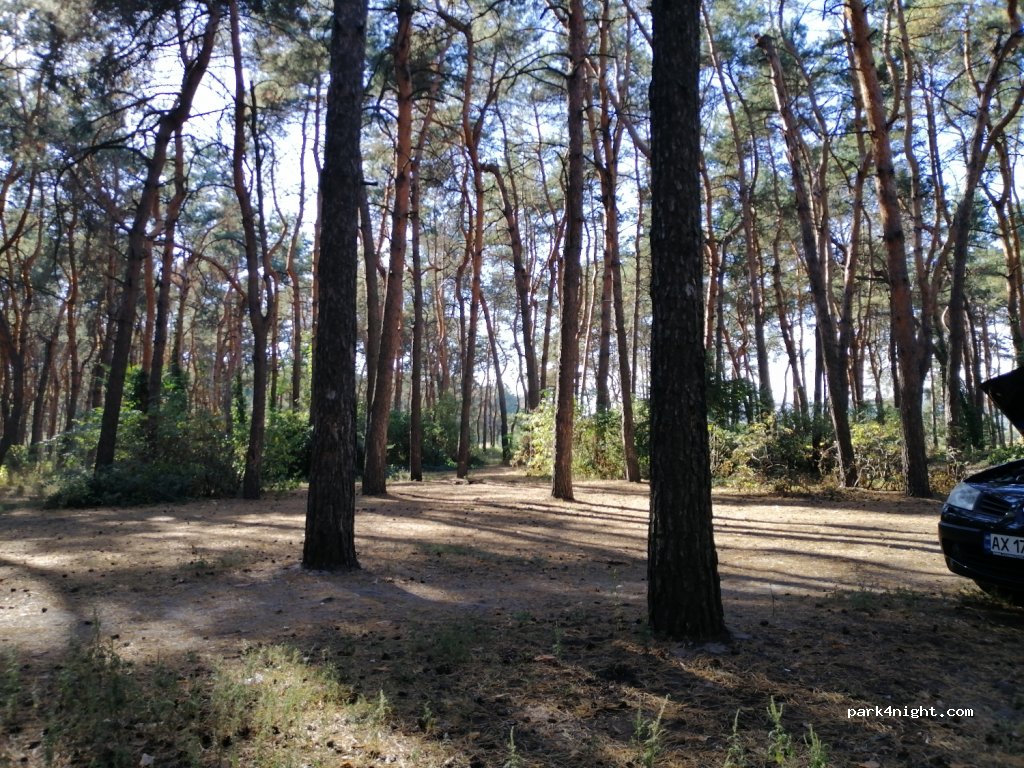 (61000) Kharkiv - Balanevskoho Street — foto