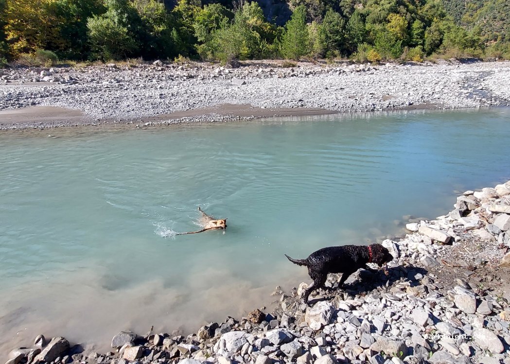 (441 00) Konitsa - Ethniki Odos Kozanis Ioanninon — foto 3