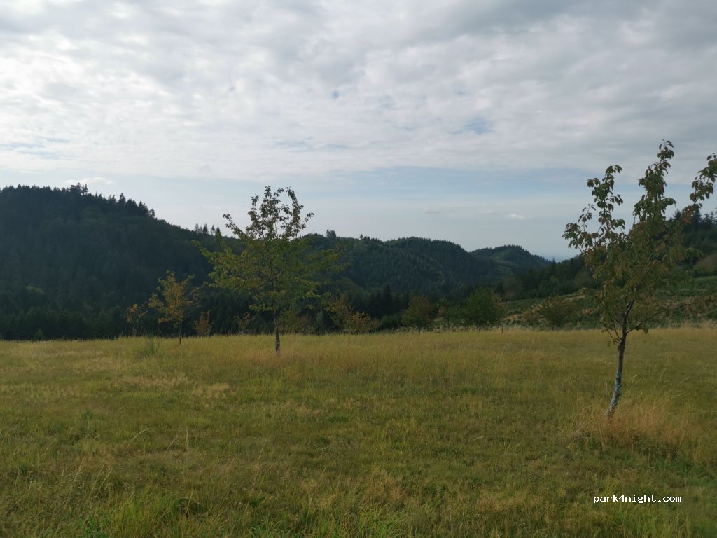 (77704) Oberkirch - Unnamed Road — foto