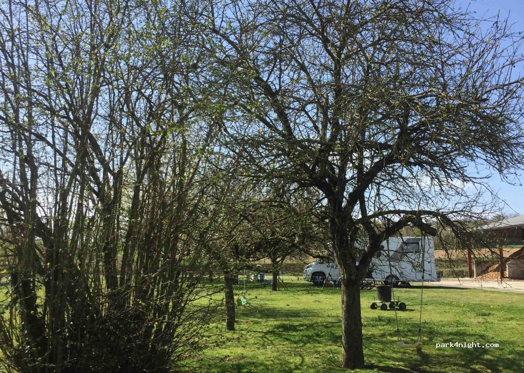 Ezelboerderijcamping La Bistandille — foto 2