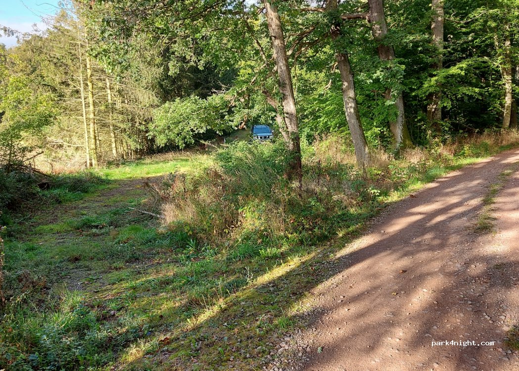(06333) Bräunrode - Unnamed Road — foto