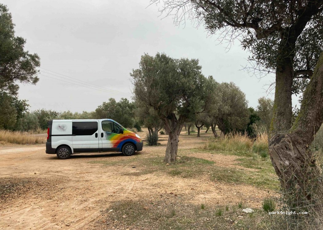 (43540) Sant Carles de la Ràpita - Camí de Mata-redona — foto