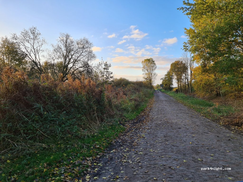 (26632) Ihlow - Friesenstraße — foto