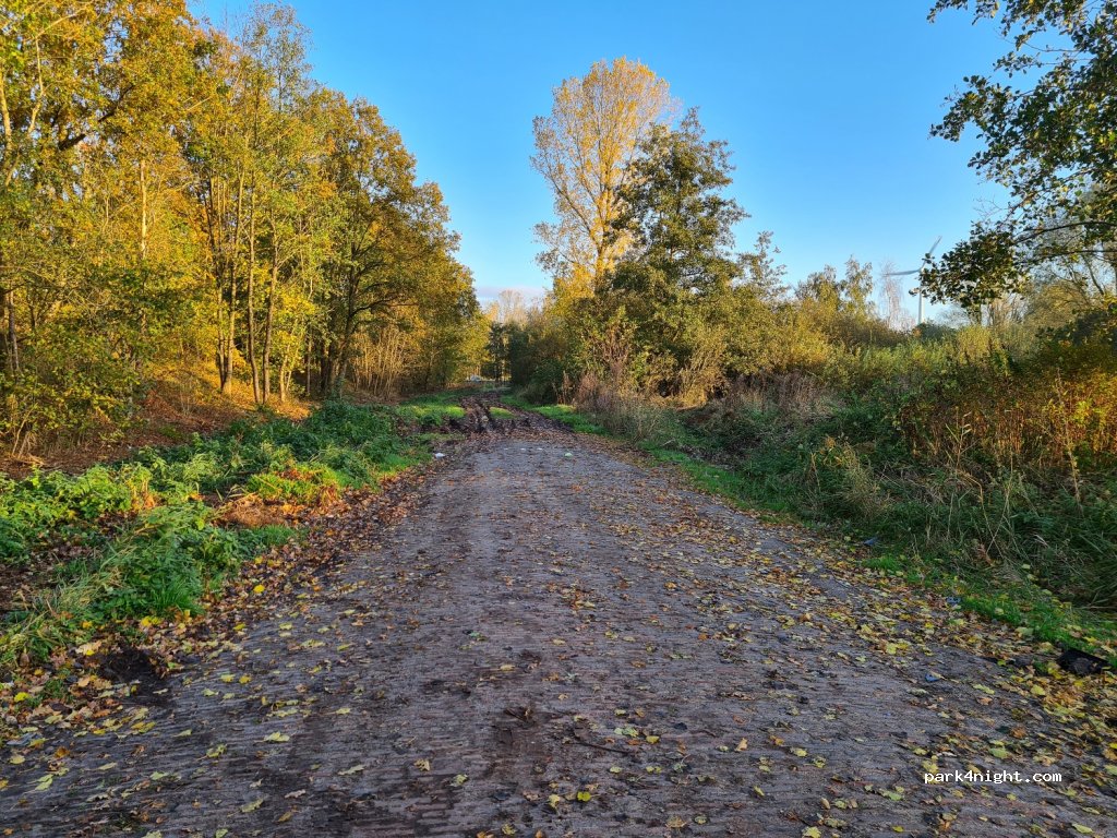 (26632) Ihlow - Friesenstraße — foto 3