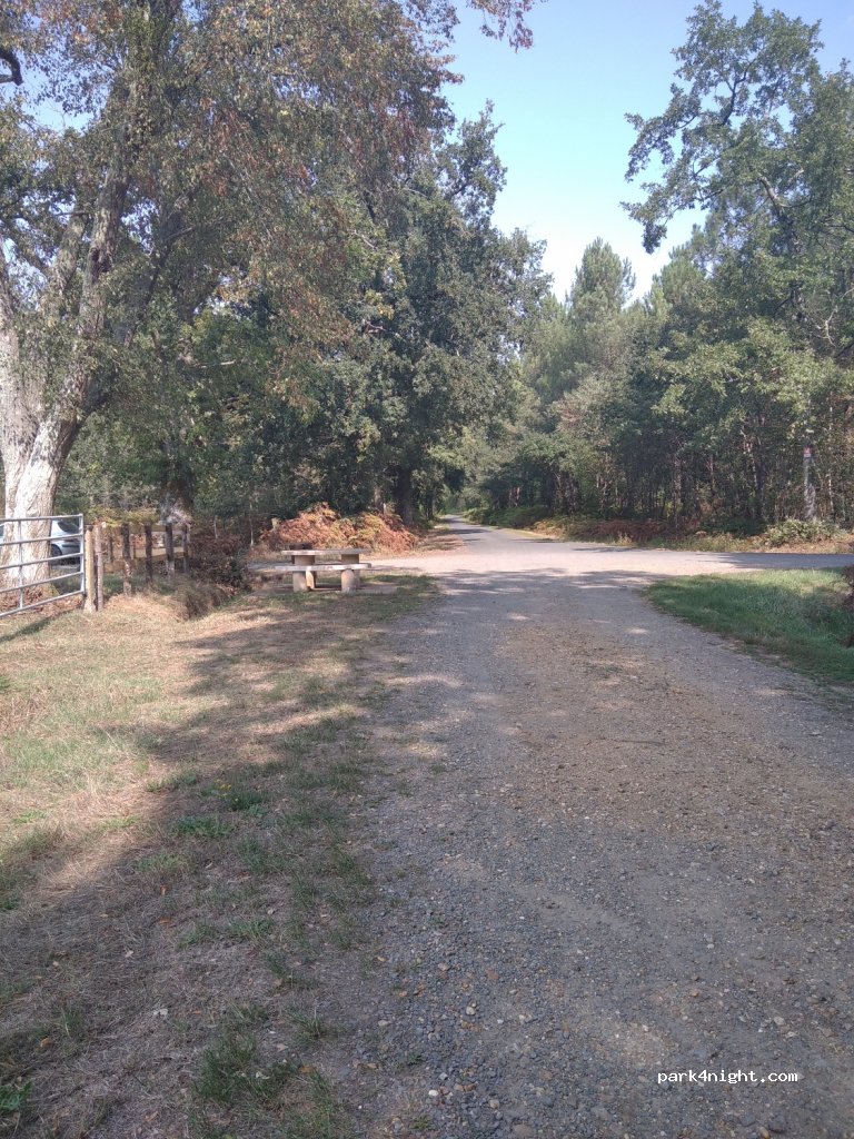 (72220) Saint-Ouen-en-Belin - Unnamed Road — foto
