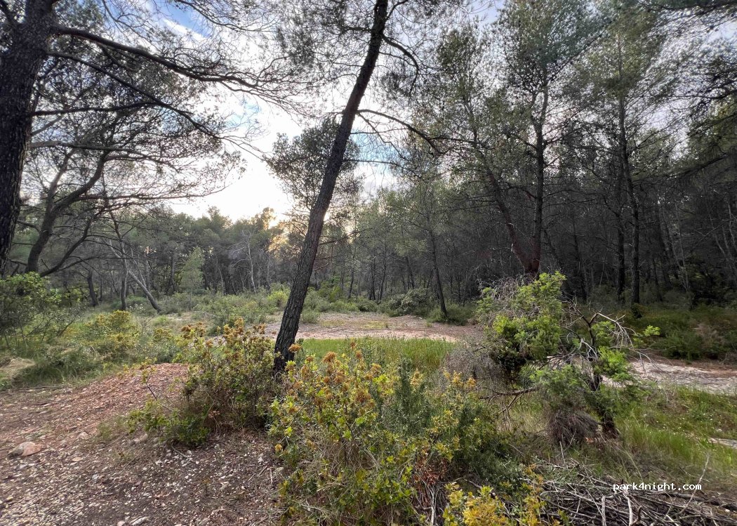 (13720) La Bouilladisse - Chemin de la Mireille — foto 2