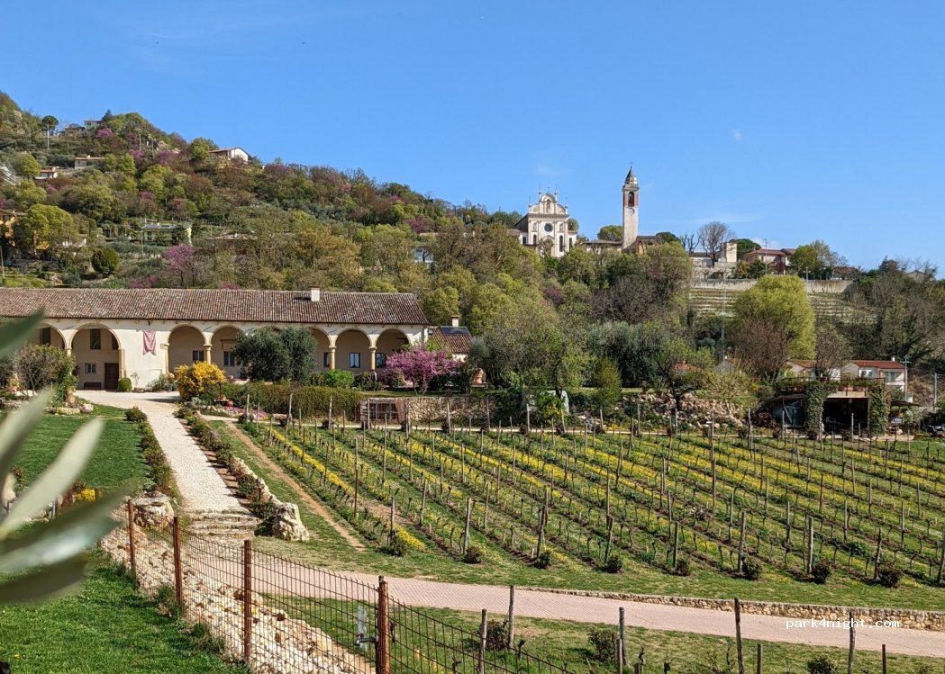 CANTINA PEGORARO — foto 2