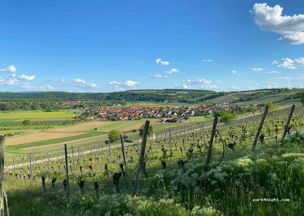 Winery Hirn- Im Weinparadies — foto 4