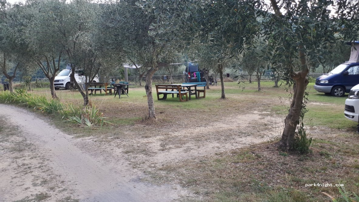 Il Pernambucco della Contessa — foto